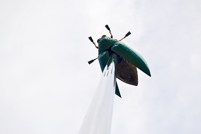 Mosca gigante escultura color mástil Biblioteca Universidad Católica Lovaina