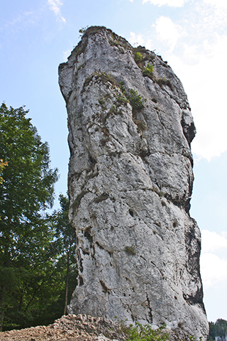 Garrote Hércules roca Parque Nacional Ojców Cracovia Polonia