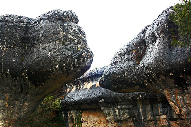 Forma rocas reptiles Ciudad Encantada Cuenca