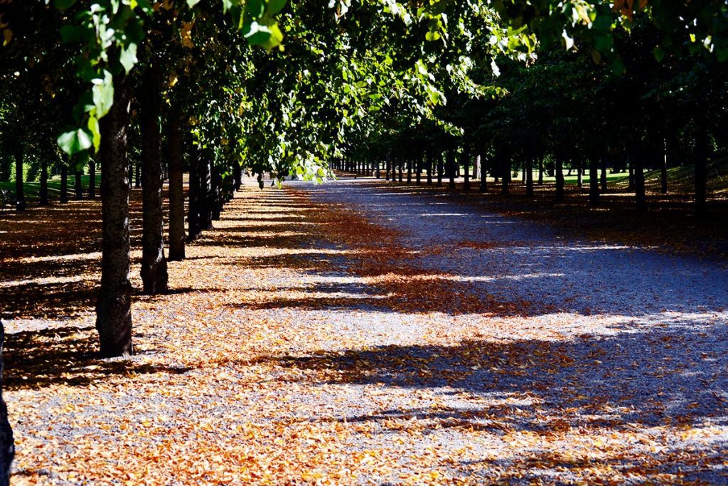 Caminos piedras hojas otoño caídas arboleda jardines Palacio Real Drottningholm